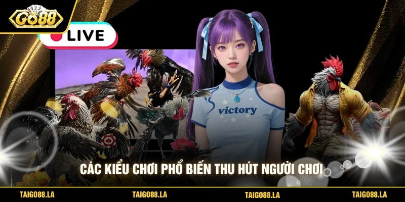 Các kiểu chơi phổ biến thu hút người chơi