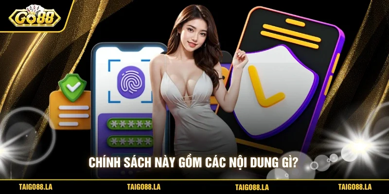 Chính sách này gồm các nội dung gì? 
