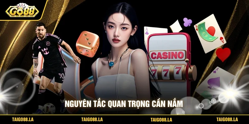 Nguyên tắc quan trọng cần nắm 