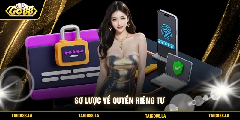 Sơ lược về quyền riêng tư 